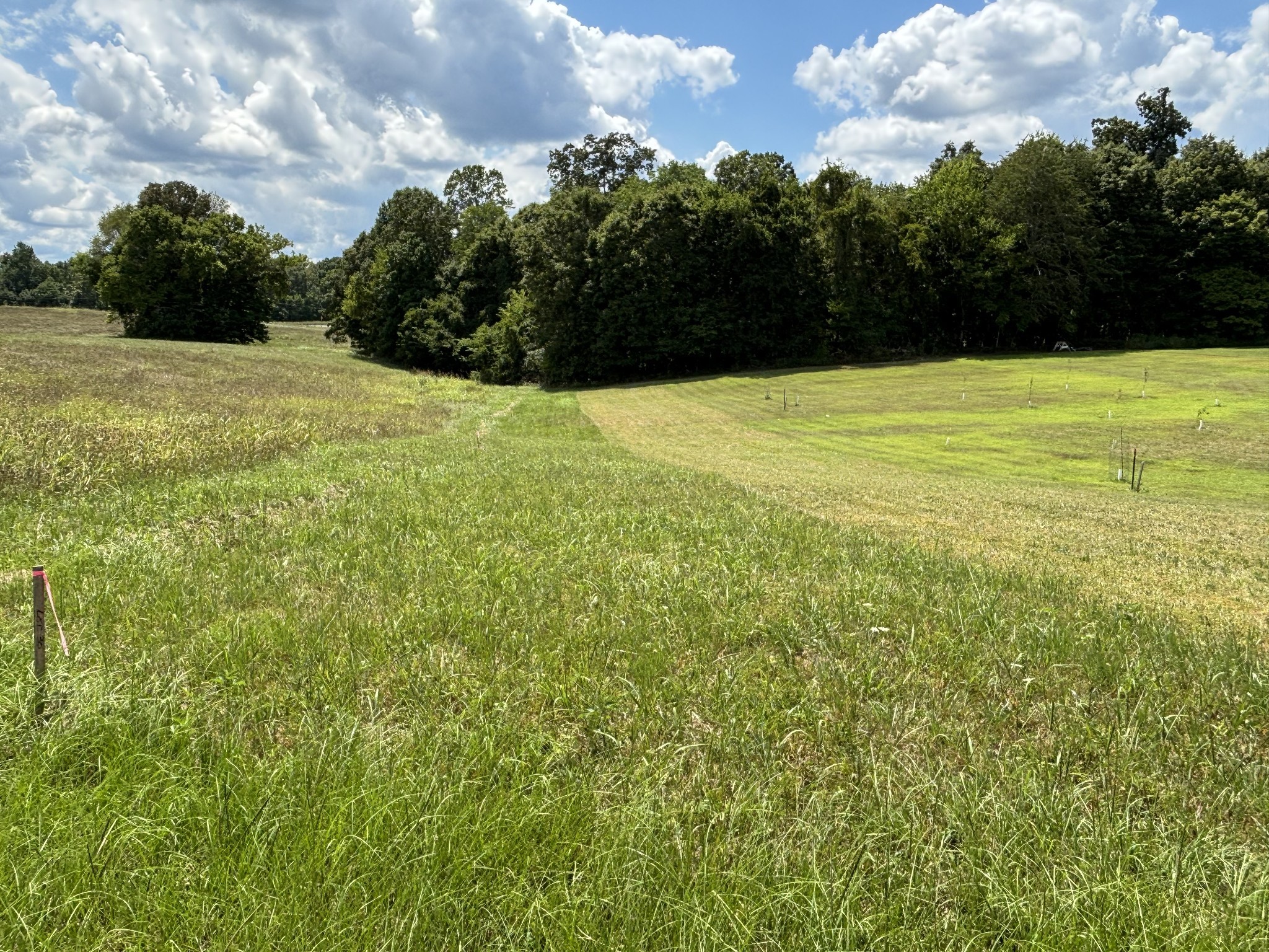 0 Middle Lick Creek Road Lyles TN 37098