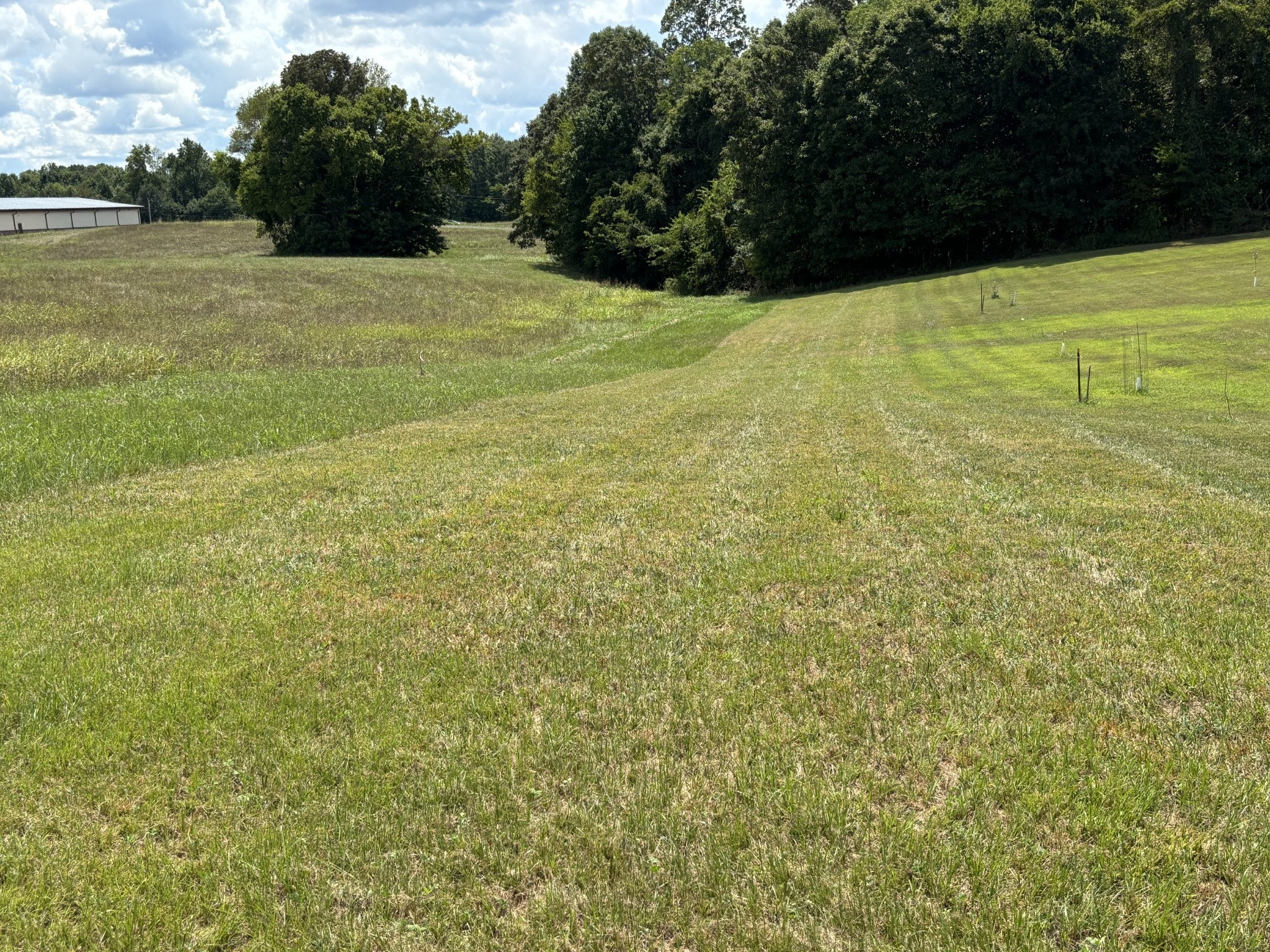 0 Middle Lick Creek Road Lyles TN 37098