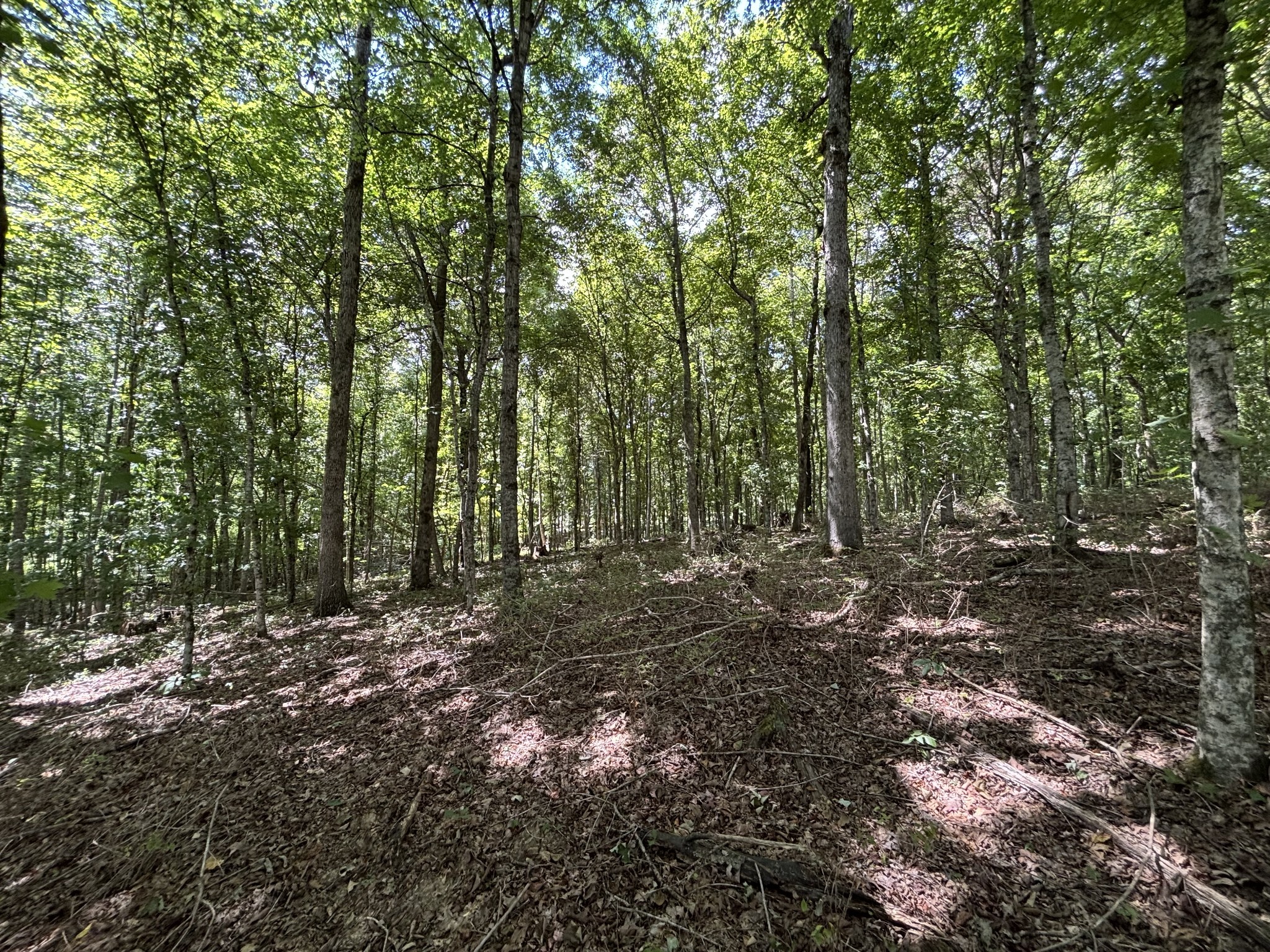 0 Middle Lick Creek Road Lyles TN 37098
