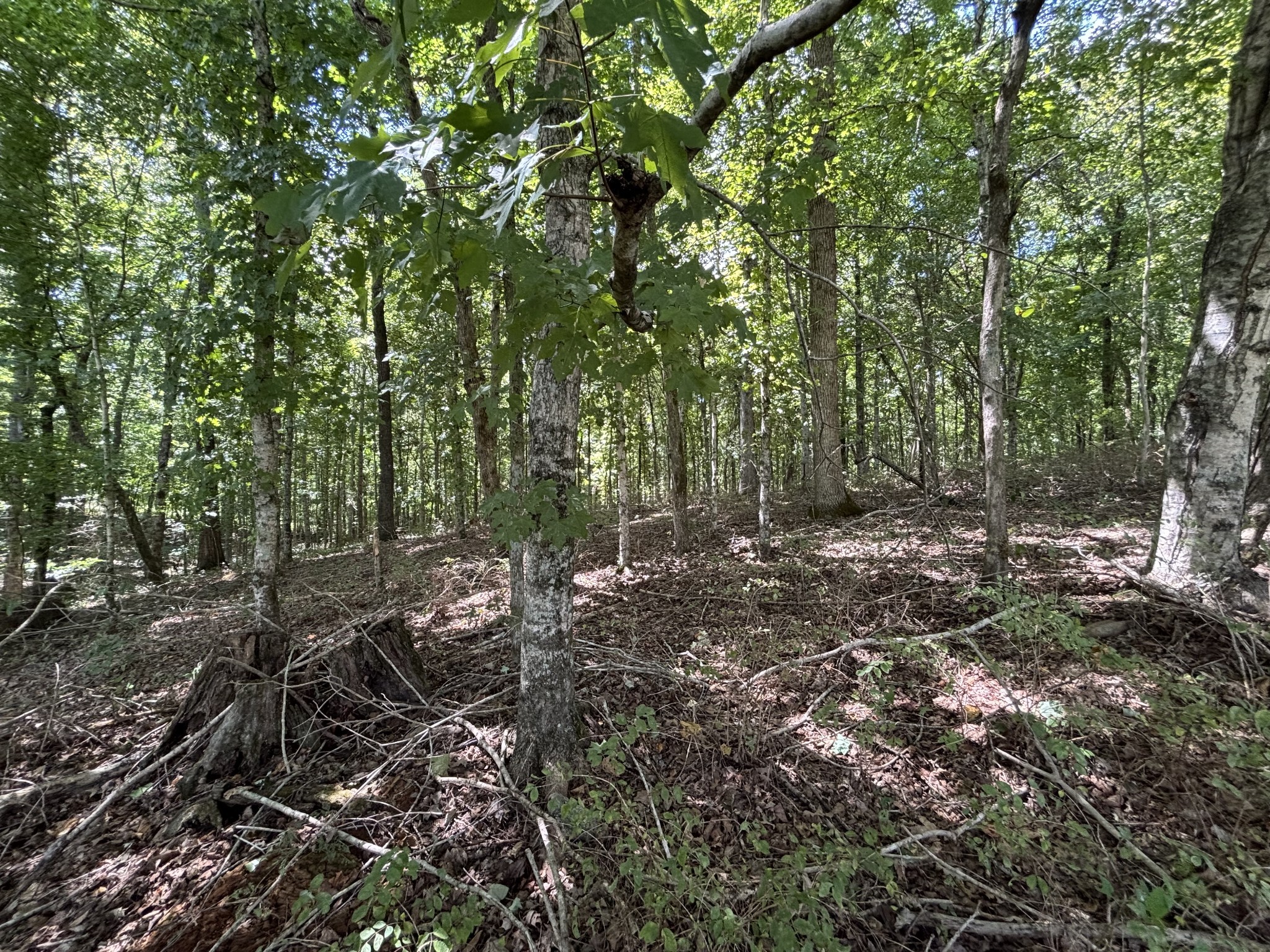 0 Middle Lick Creek Road Lyles TN 37098