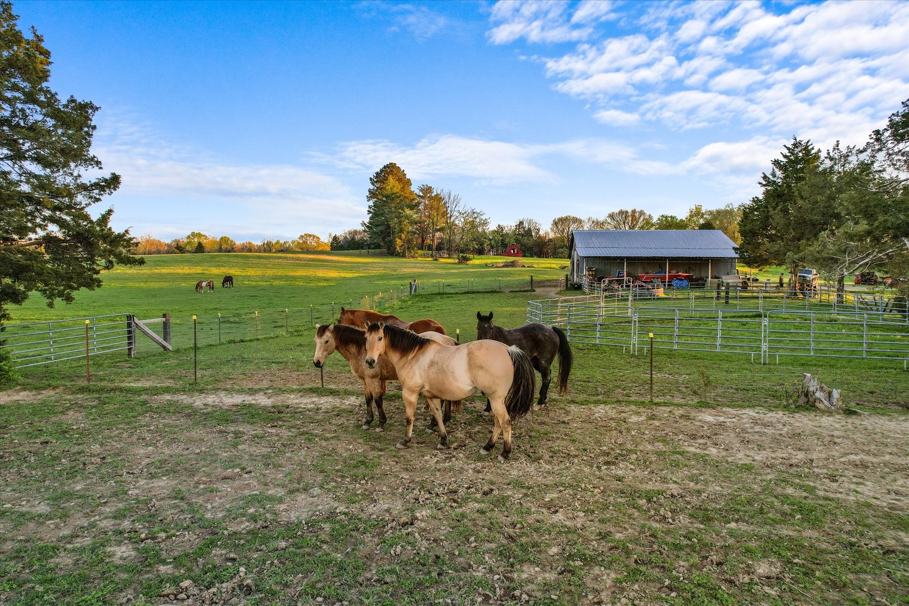 1661 Martha Leeville Road Lebanon TN 37090