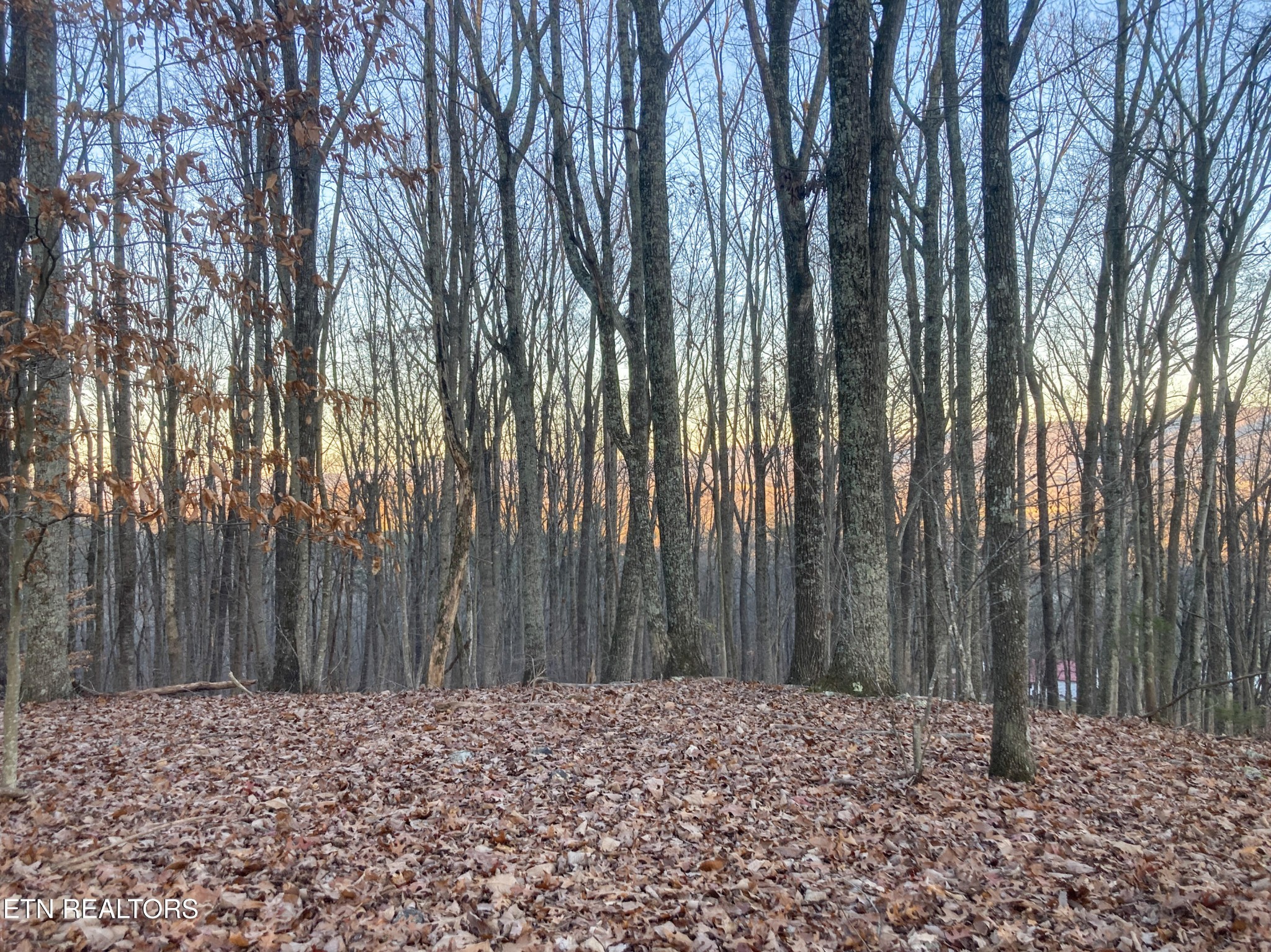 0 Old Spencer Road - 100 Acres Pikeville TN 37367