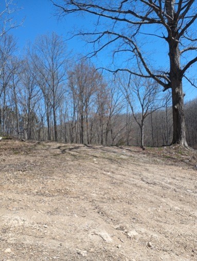 5964 Garrison Road Franklin TN 37064