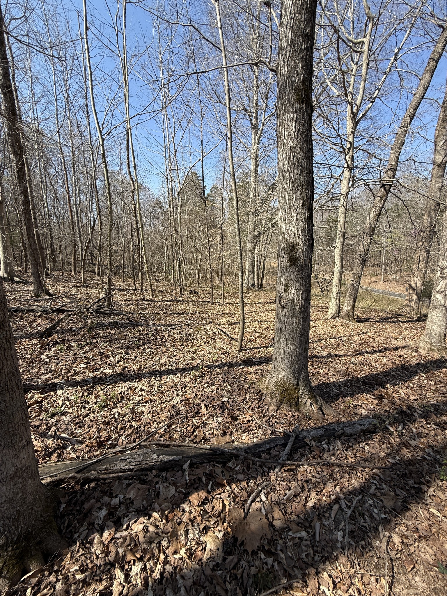 0 Brigham Branch Road Erin TN 37061