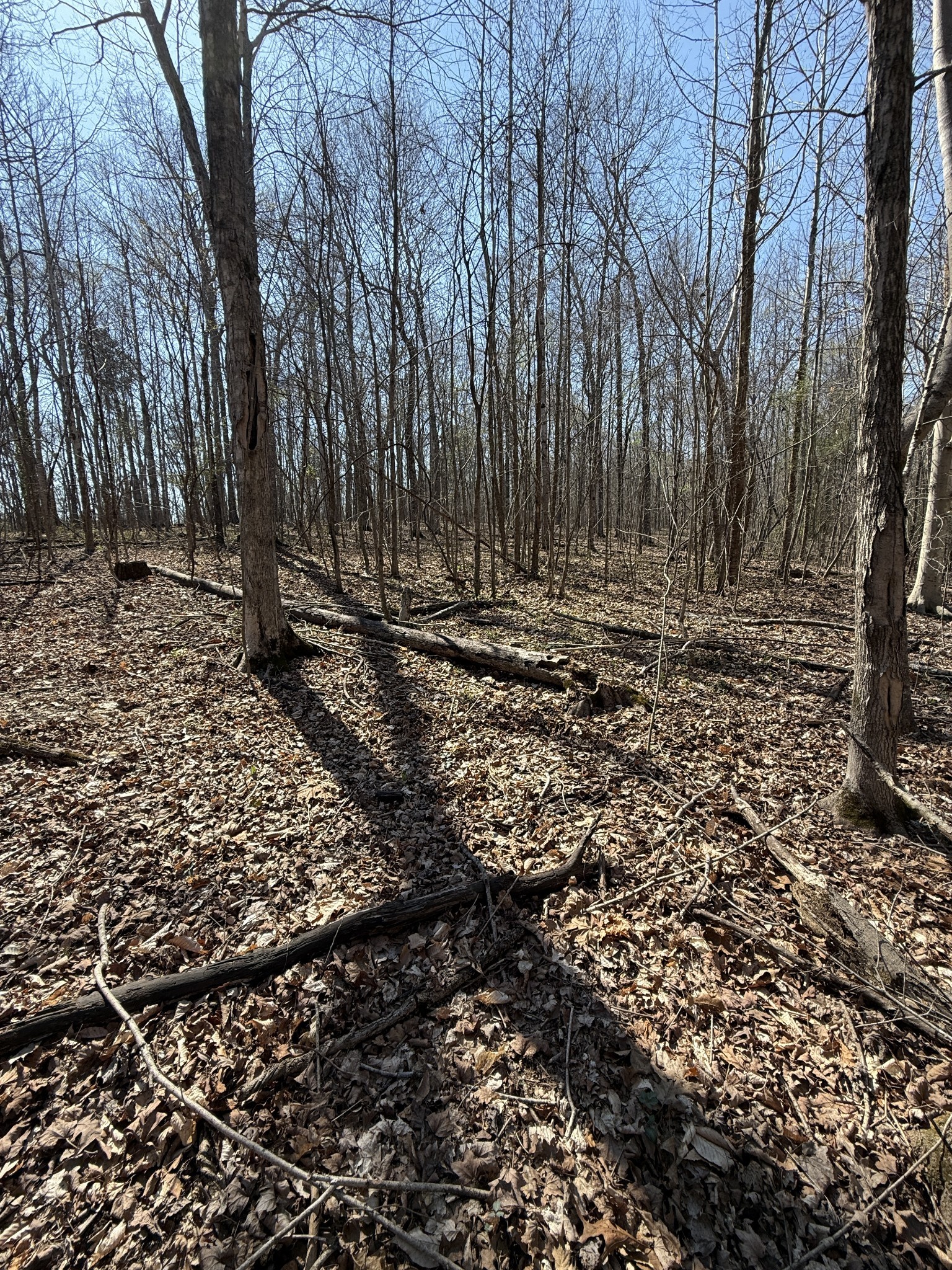 0 Brigham Branch Road Erin TN 37061