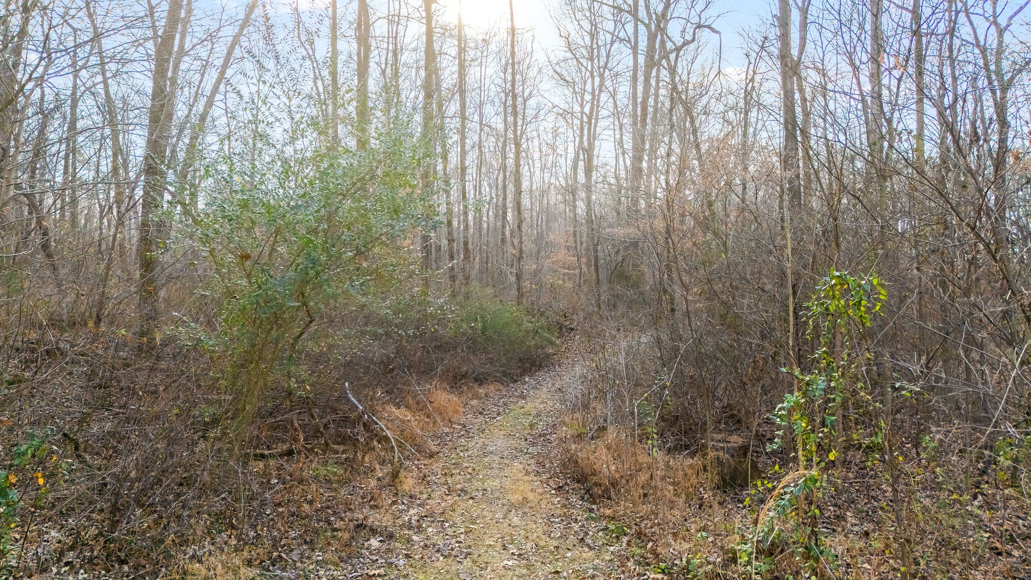 745 Union Ridge Road Wartrace TN 37183