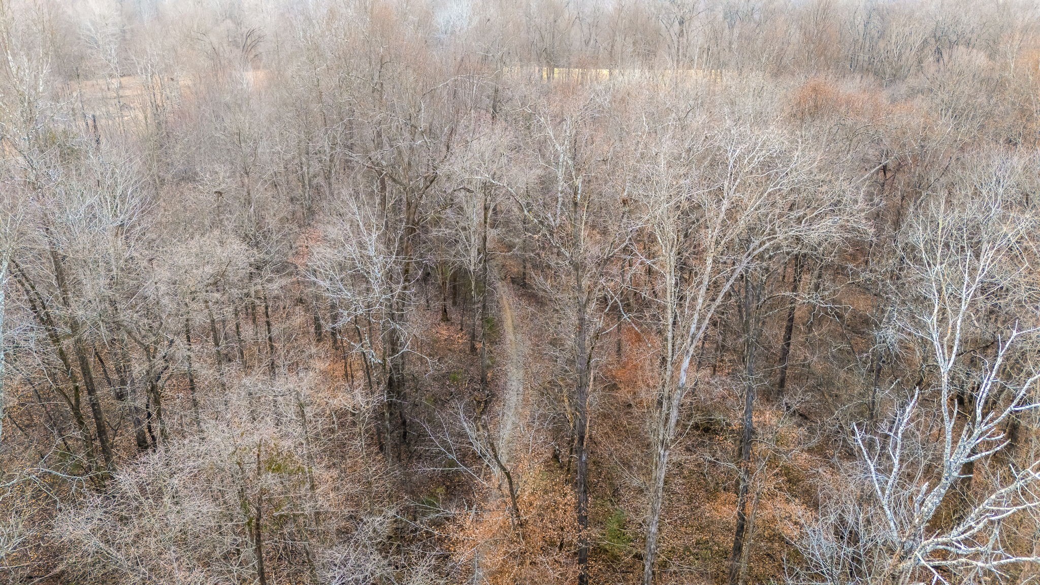 745 Union Ridge Road Wartrace TN 37183