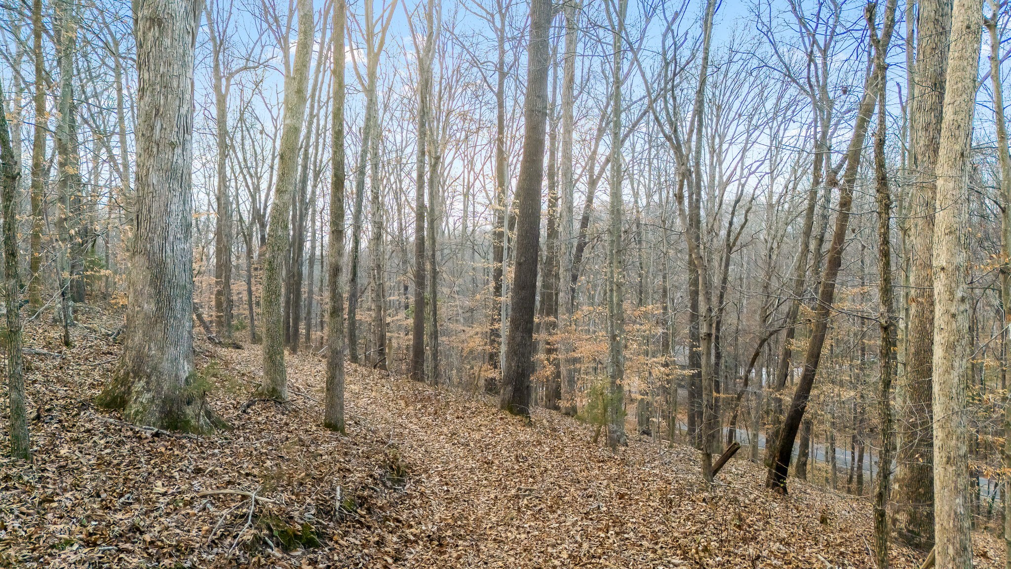 745 Union Ridge Road Wartrace TN 37183