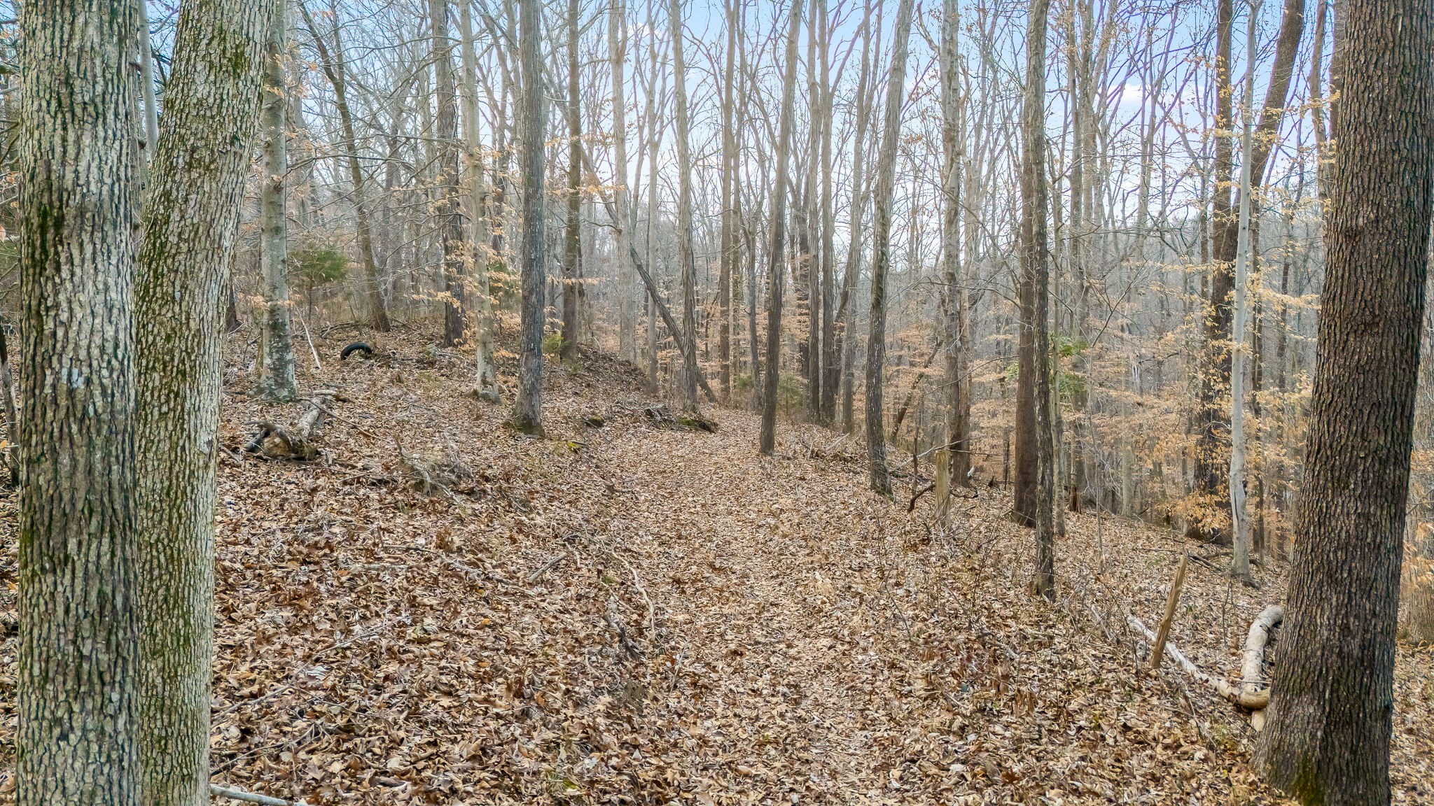 745 Union Ridge Road Wartrace TN 37183