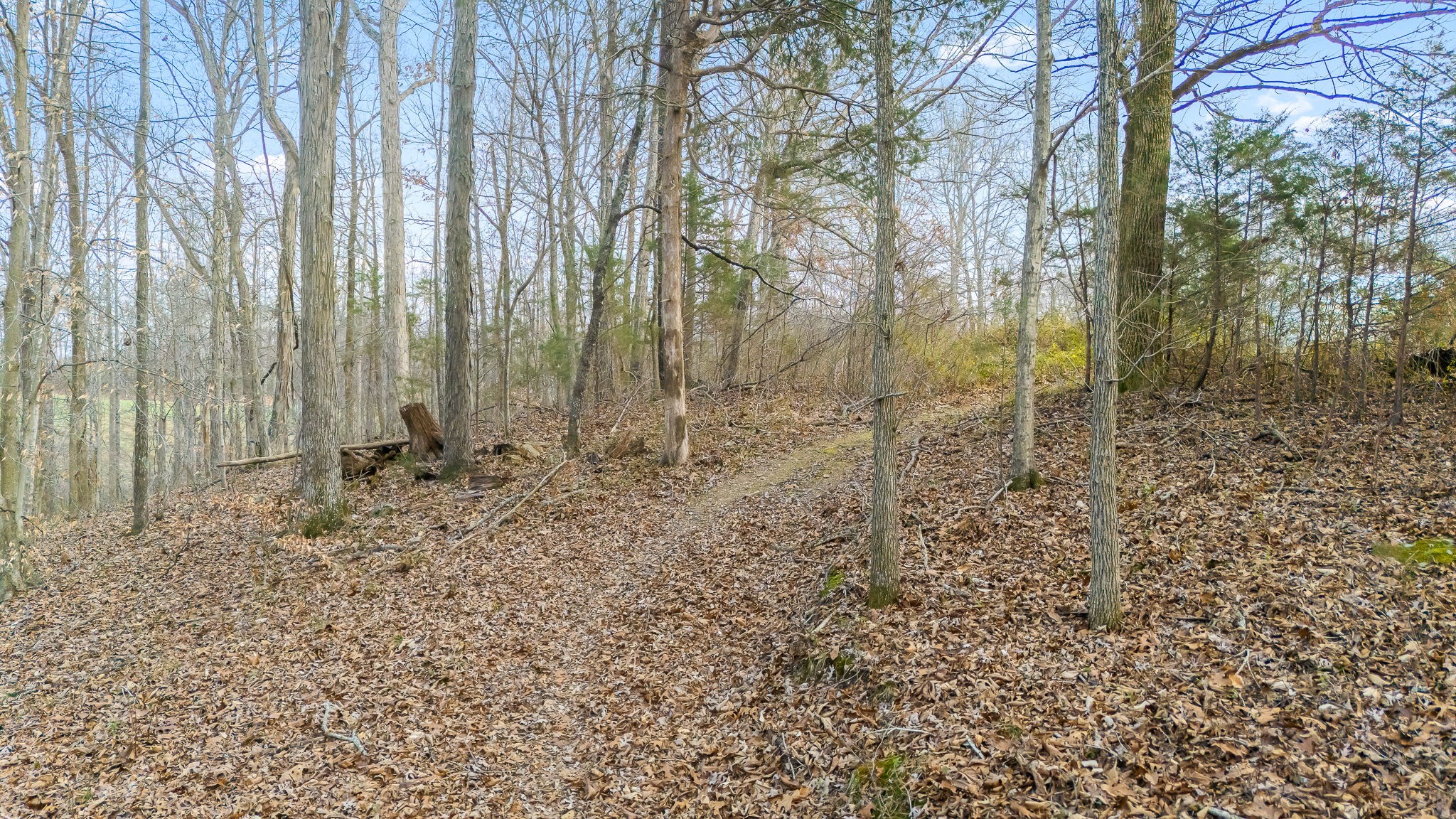 745 Union Ridge Road Wartrace TN 37183