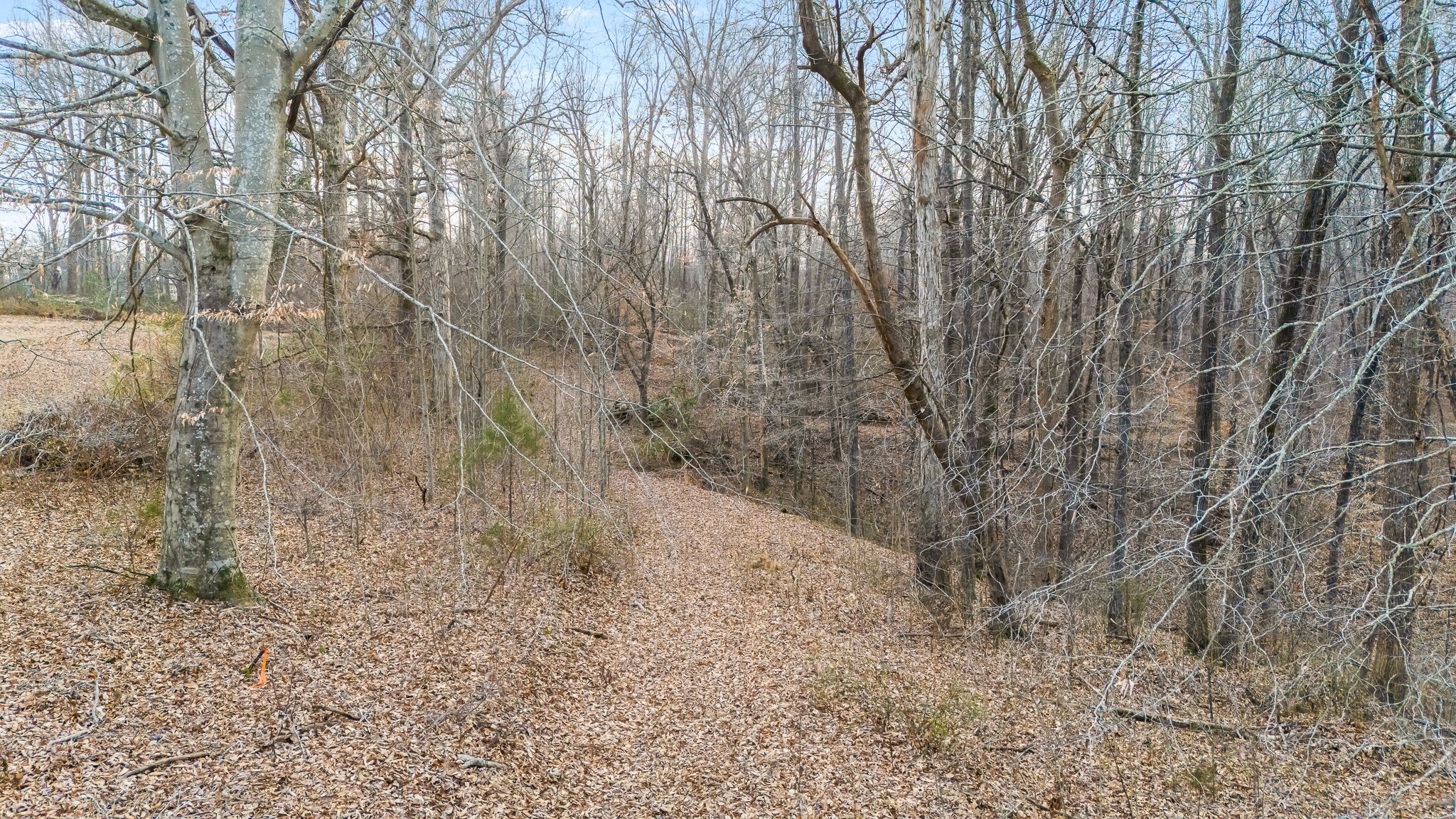 745 Union Ridge Road Wartrace TN 37183