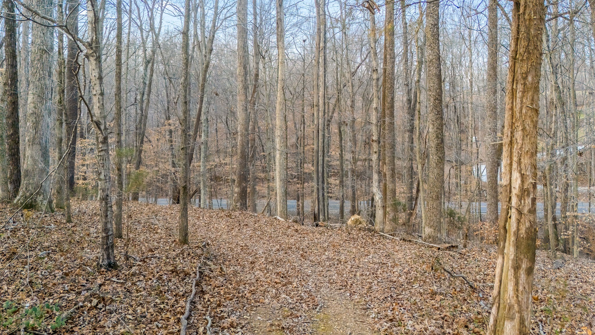 745 Union Ridge Road Wartrace TN 37183