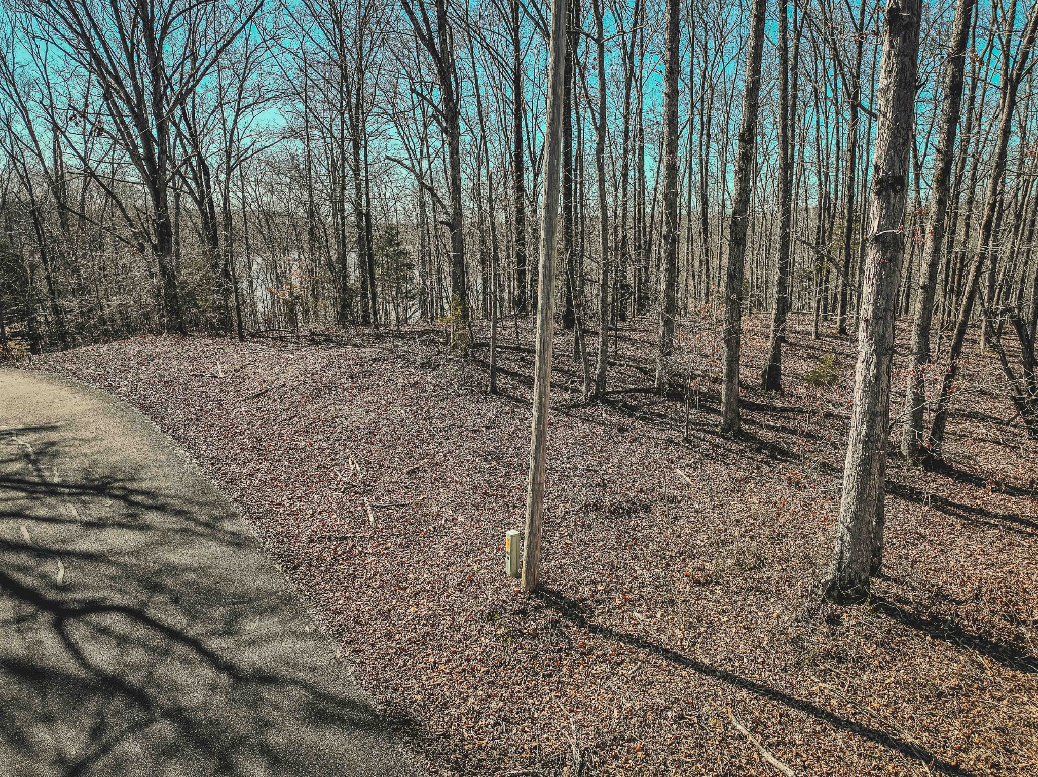0 Fawn Ridge Road Parsons TN 38363