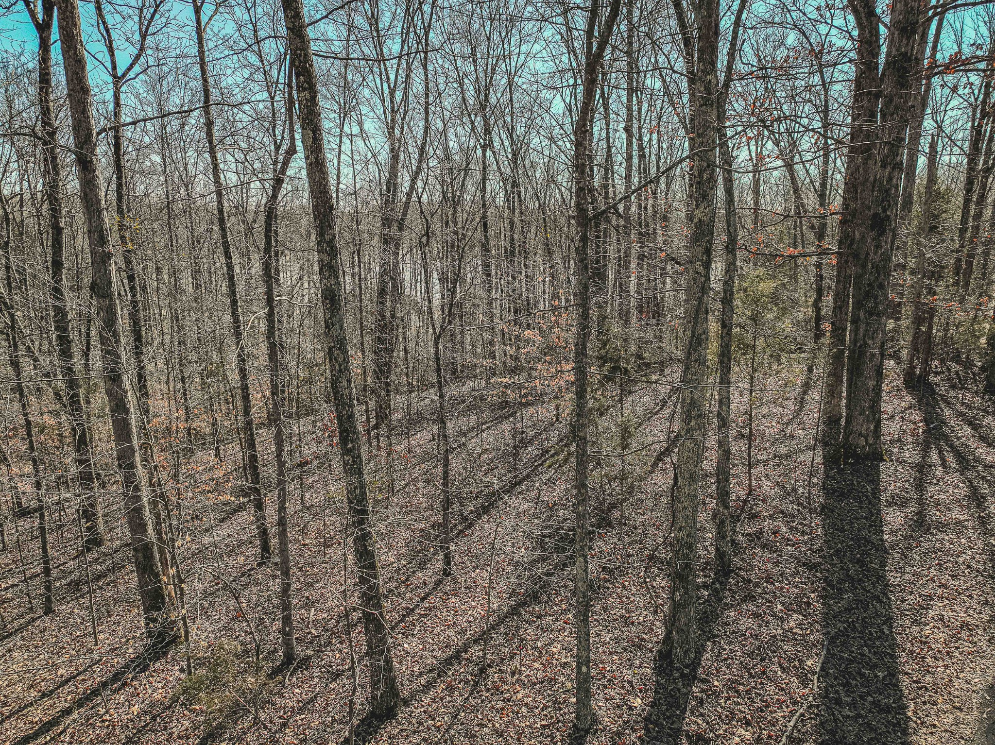0 Fawn Ridge Road Parsons TN 38363