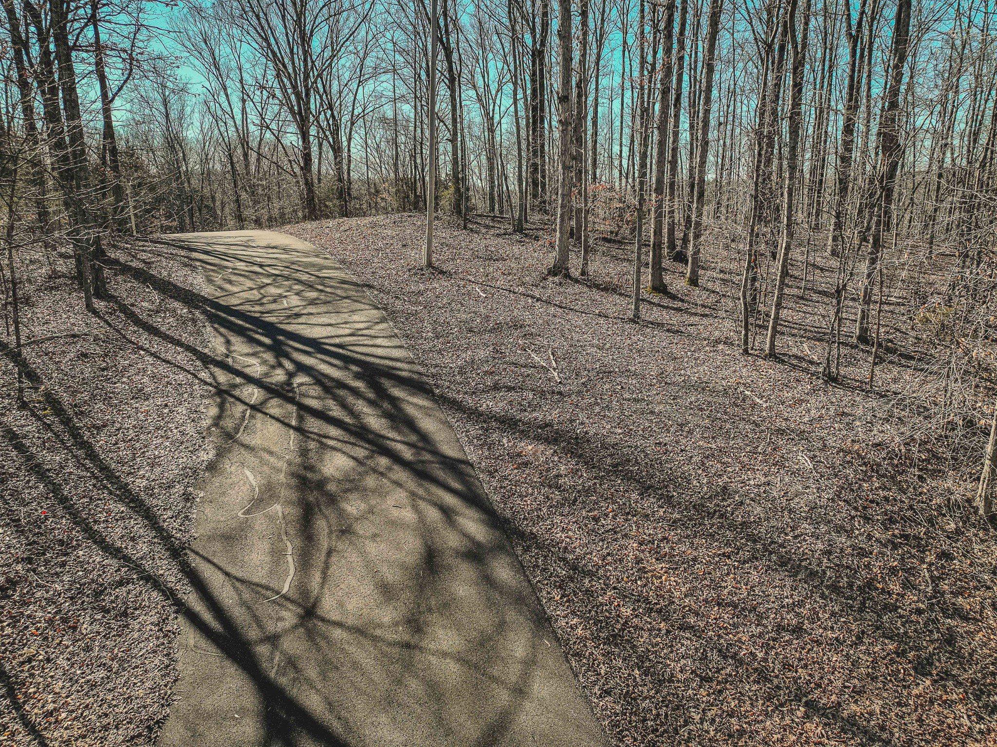 0 Fawn Ridge Road Parsons TN 38363