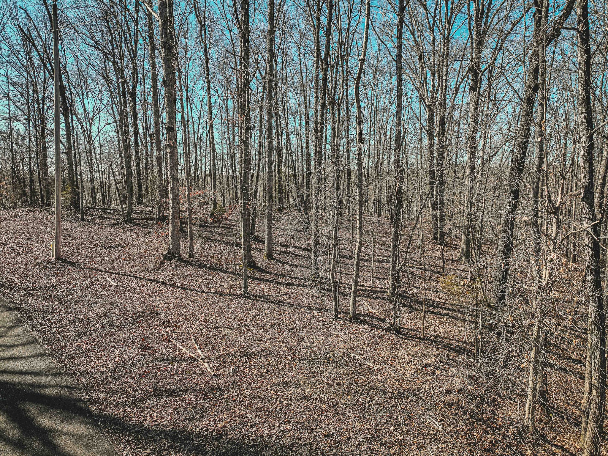0 Fawn Ridge Road Parsons TN 38363