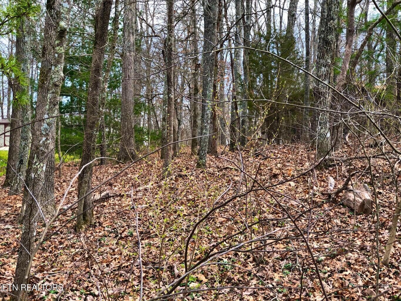 11 Oxford Circle Crossville TN 38558
