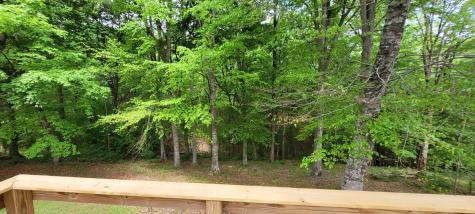 1025 Hollis Lane White House TN 37188