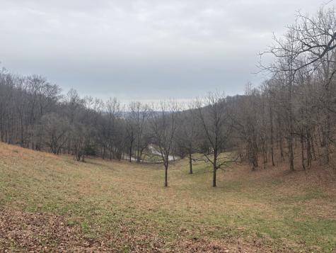 0 Crooked Hill Road Pulaski TN 38478