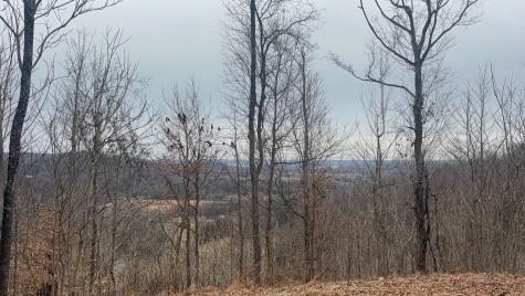 0 Crooked Hill Road Pulaski TN 38478
