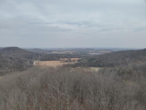 0 Crooked Hill Road Pulaski TN 38478