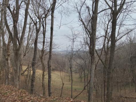 0 Crooked Hill Road Pulaski TN 38478