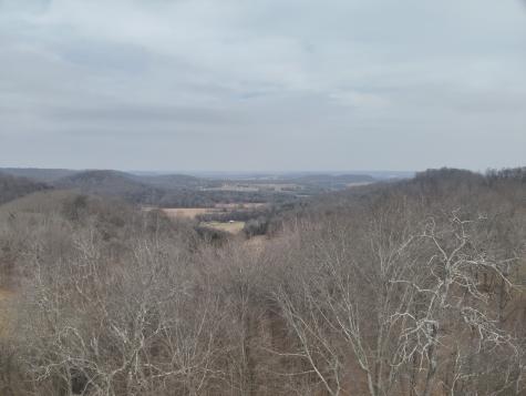 0 Crooked Hill Road Pulaski TN 38478