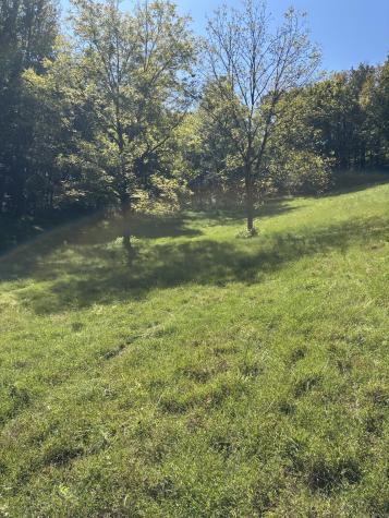 0 Crooked Hill Road Pulaski TN 38478