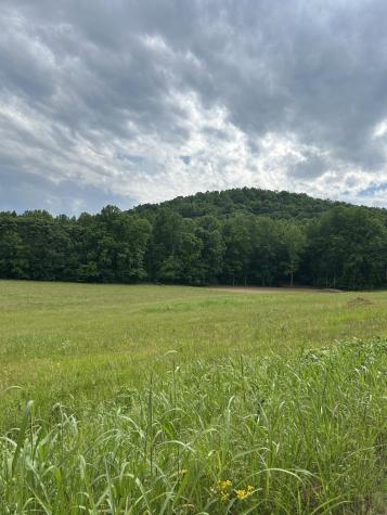 305 H&h Road Sparta TN 38583