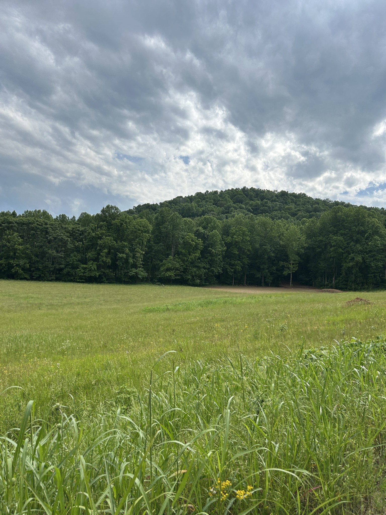 305 H&h Road Sparta TN 38583