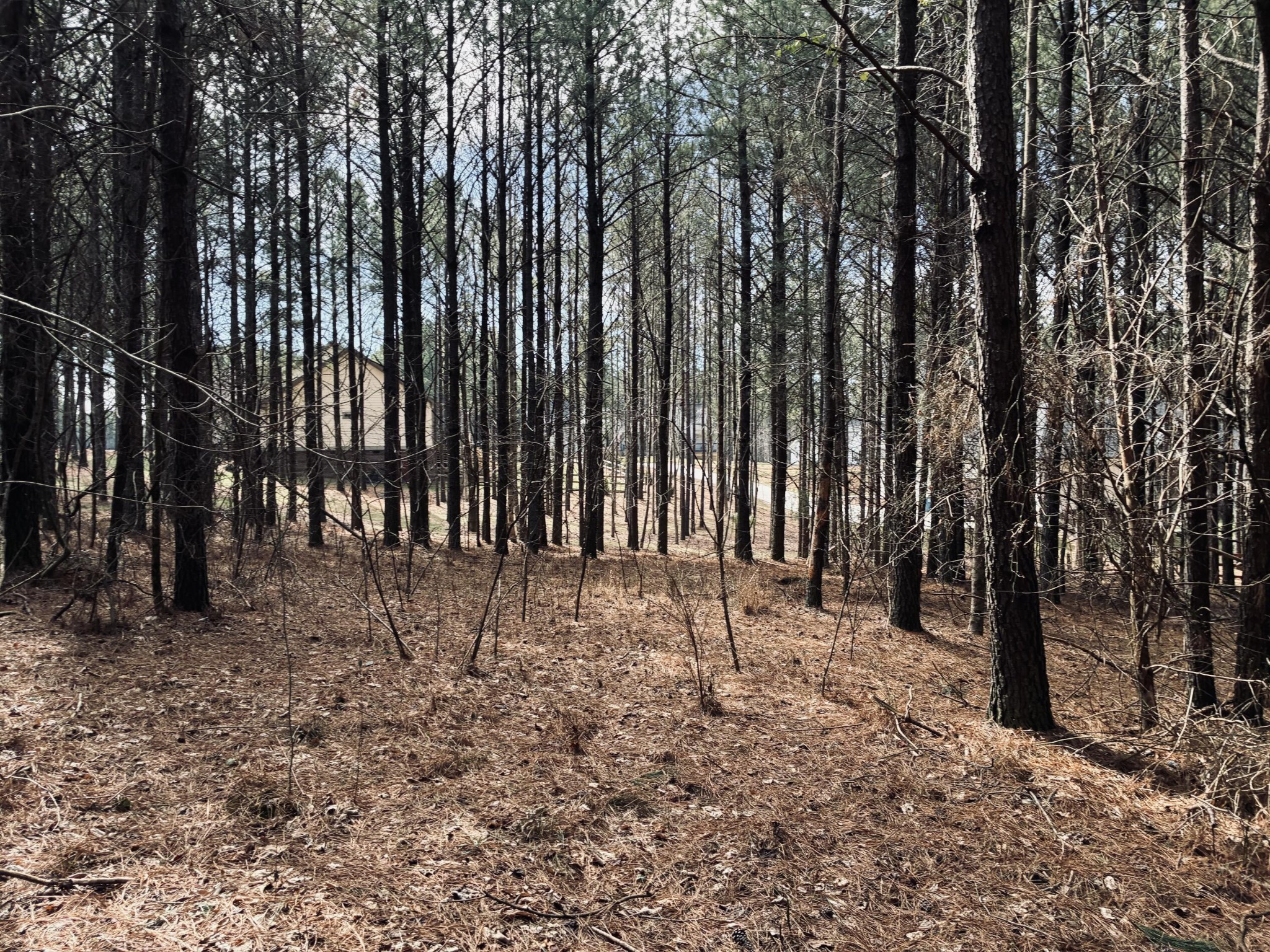 3290 Crockett Point Jasper TN 37347