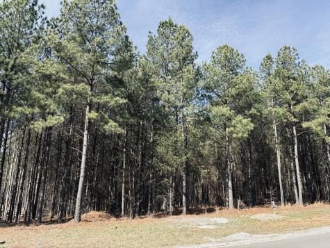 3290 Crockett Point Jasper TN 37347