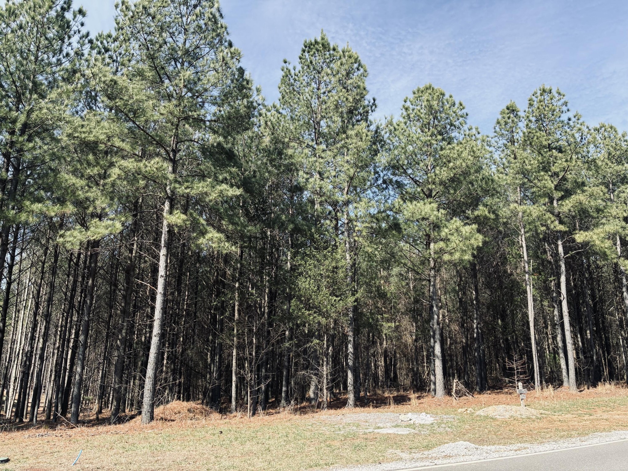 3290 Crockett Point Jasper TN 37347