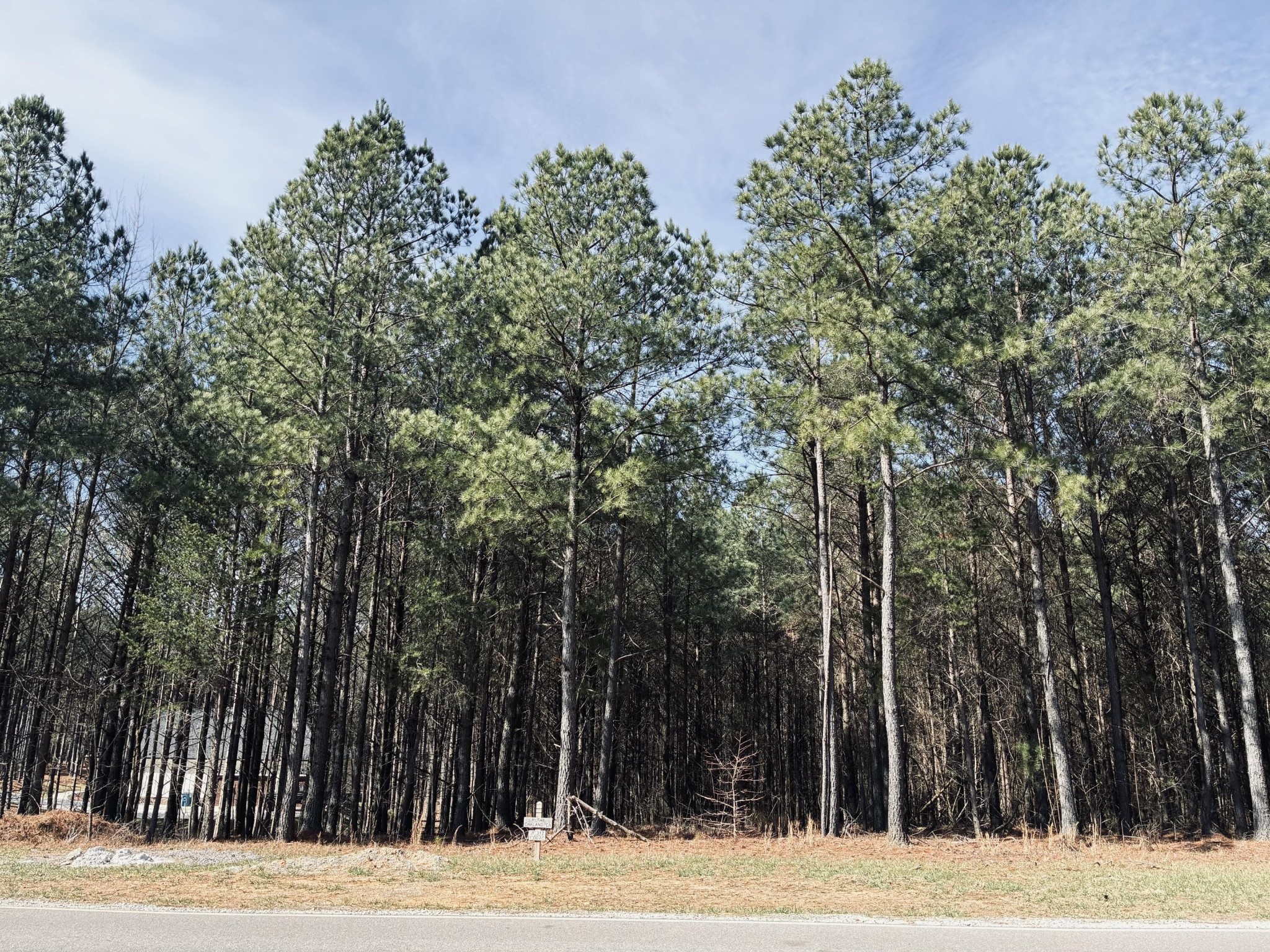 3290 Crockett Point Jasper TN 37347