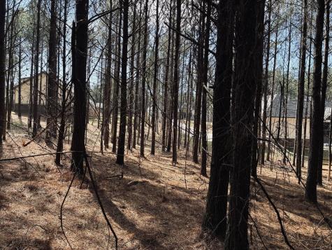 3290 Crockett Point Jasper TN 37347