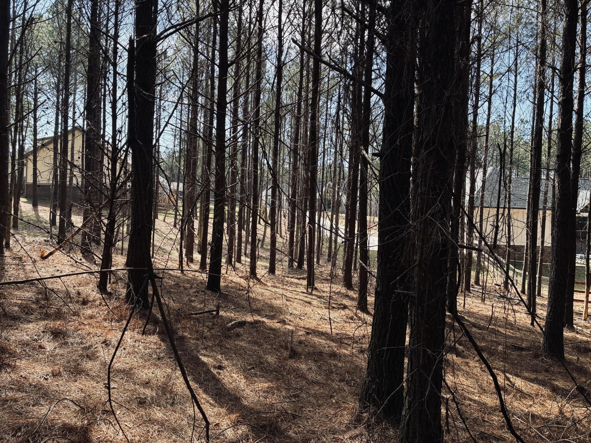 3290 Crockett Point Jasper TN 37347