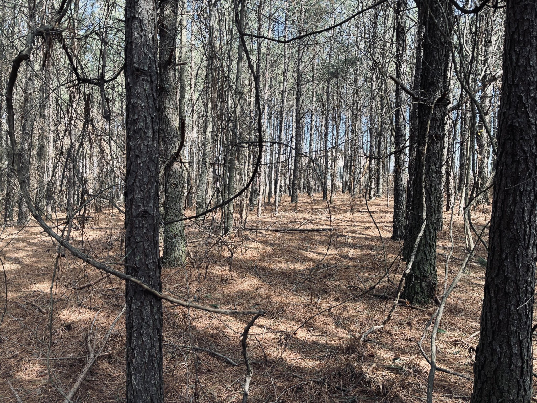 3290 Crockett Point Jasper TN 37347