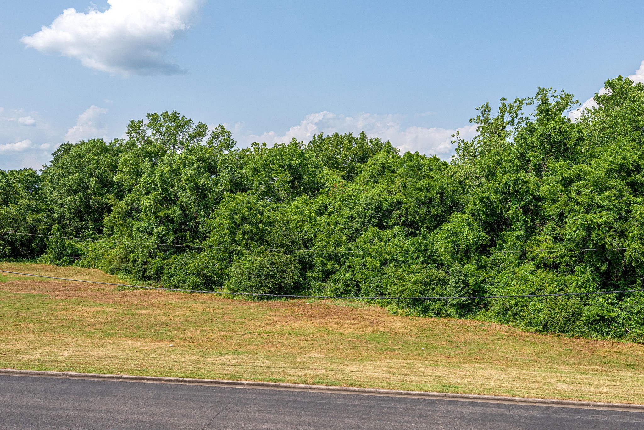 515 Basswood Avenue Nashville TN 37209