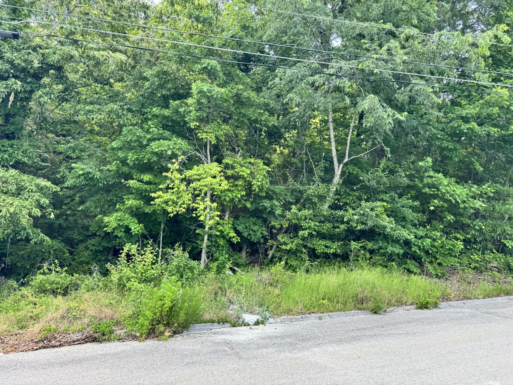 7405 Woodland Bay Drive Harrison TN 37341