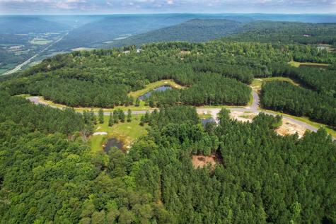 186 Boone Pass Sequatchie TN 37374