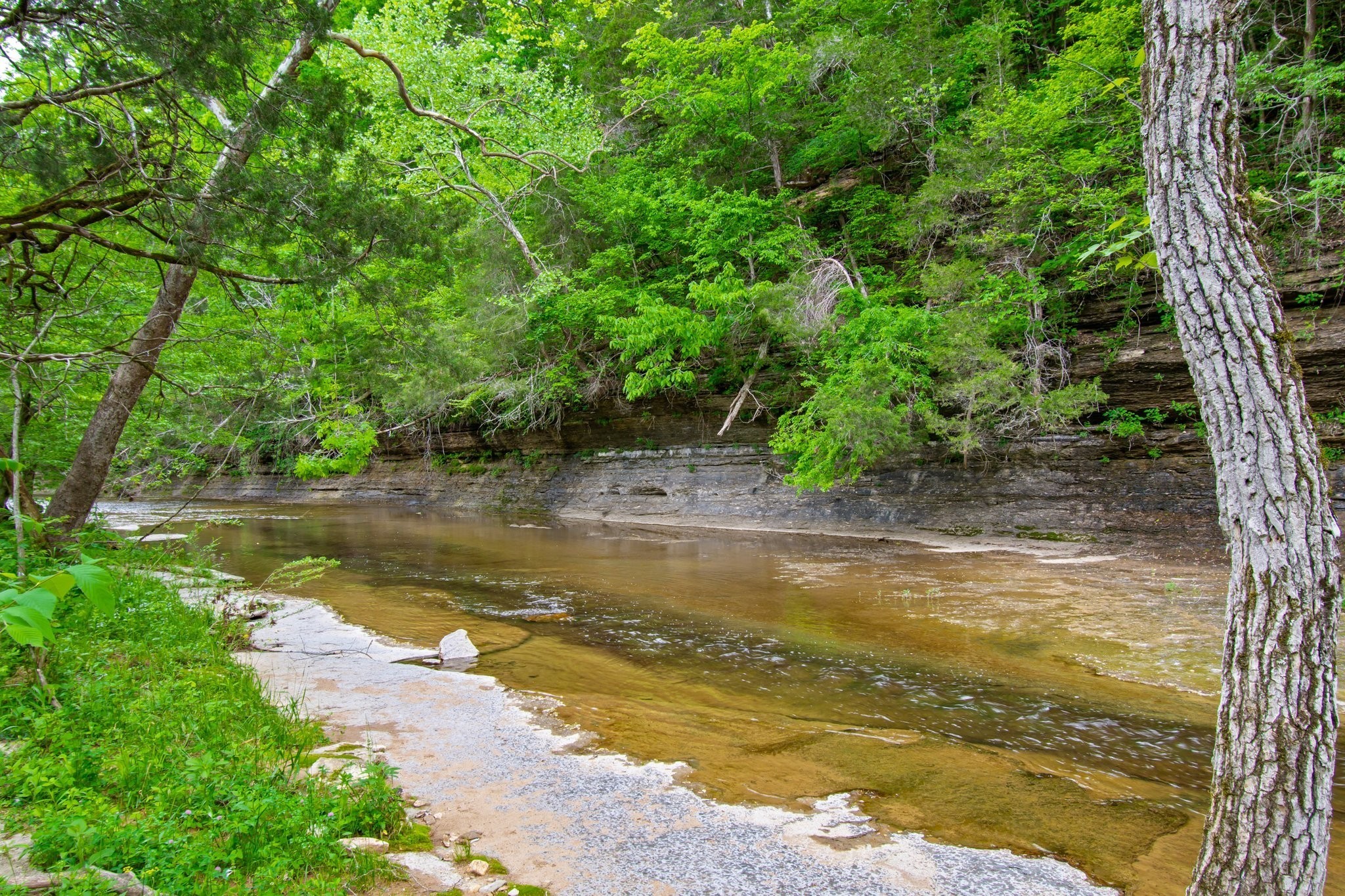 0 Crow Cut Road Fairview TN 37062