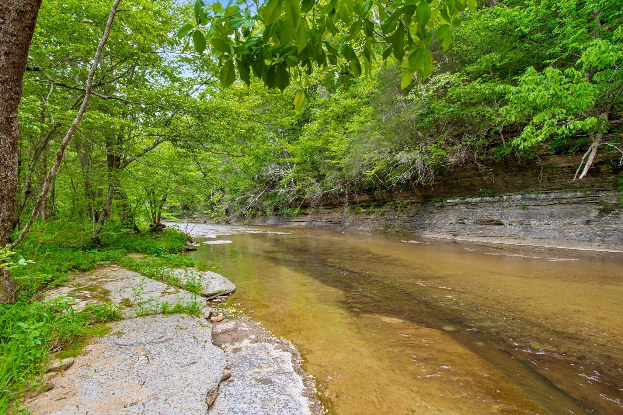 0 Crow Cut Road Fairview TN 37062