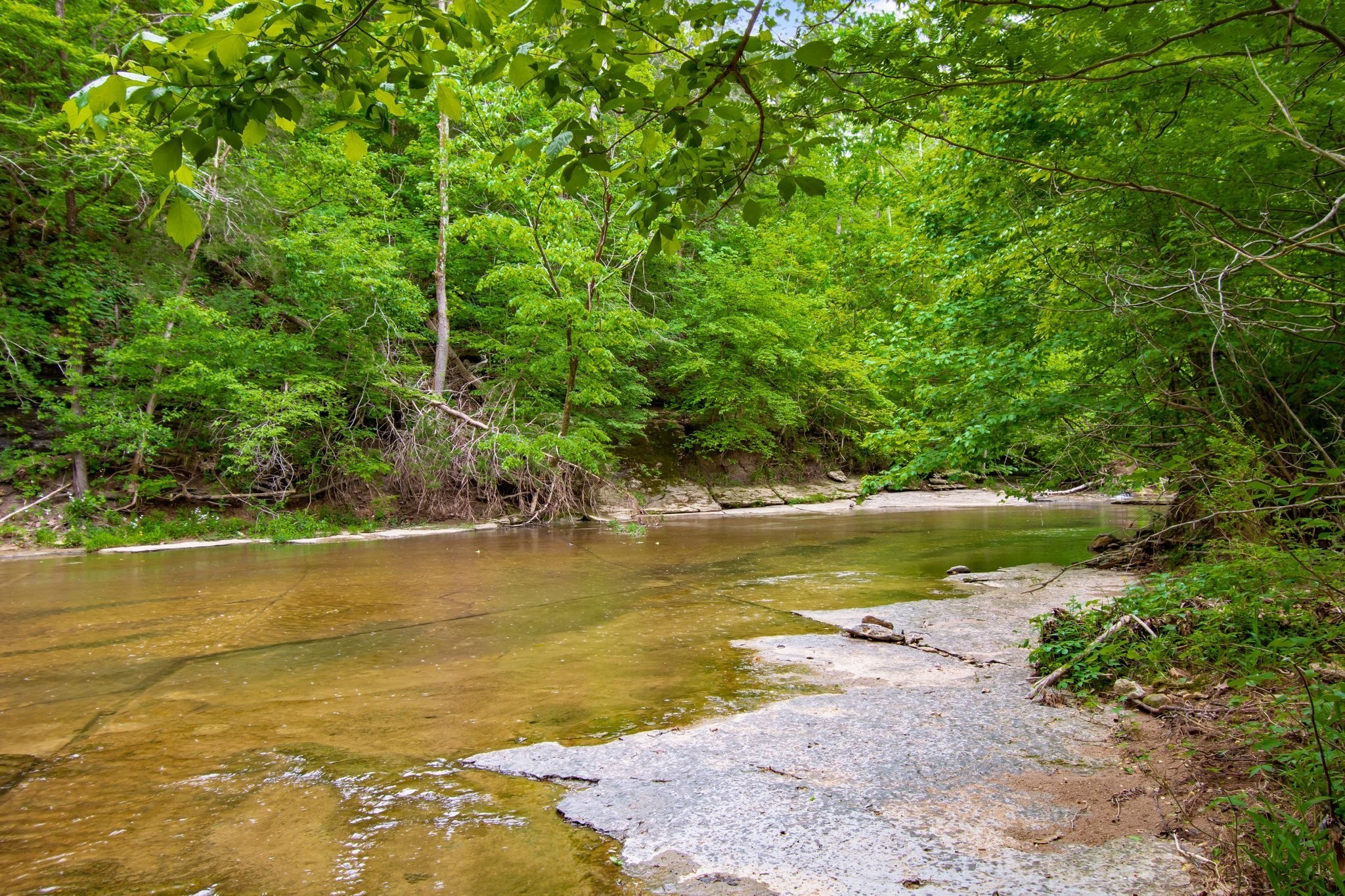 0 Crow Cut Road Fairview TN 37062
