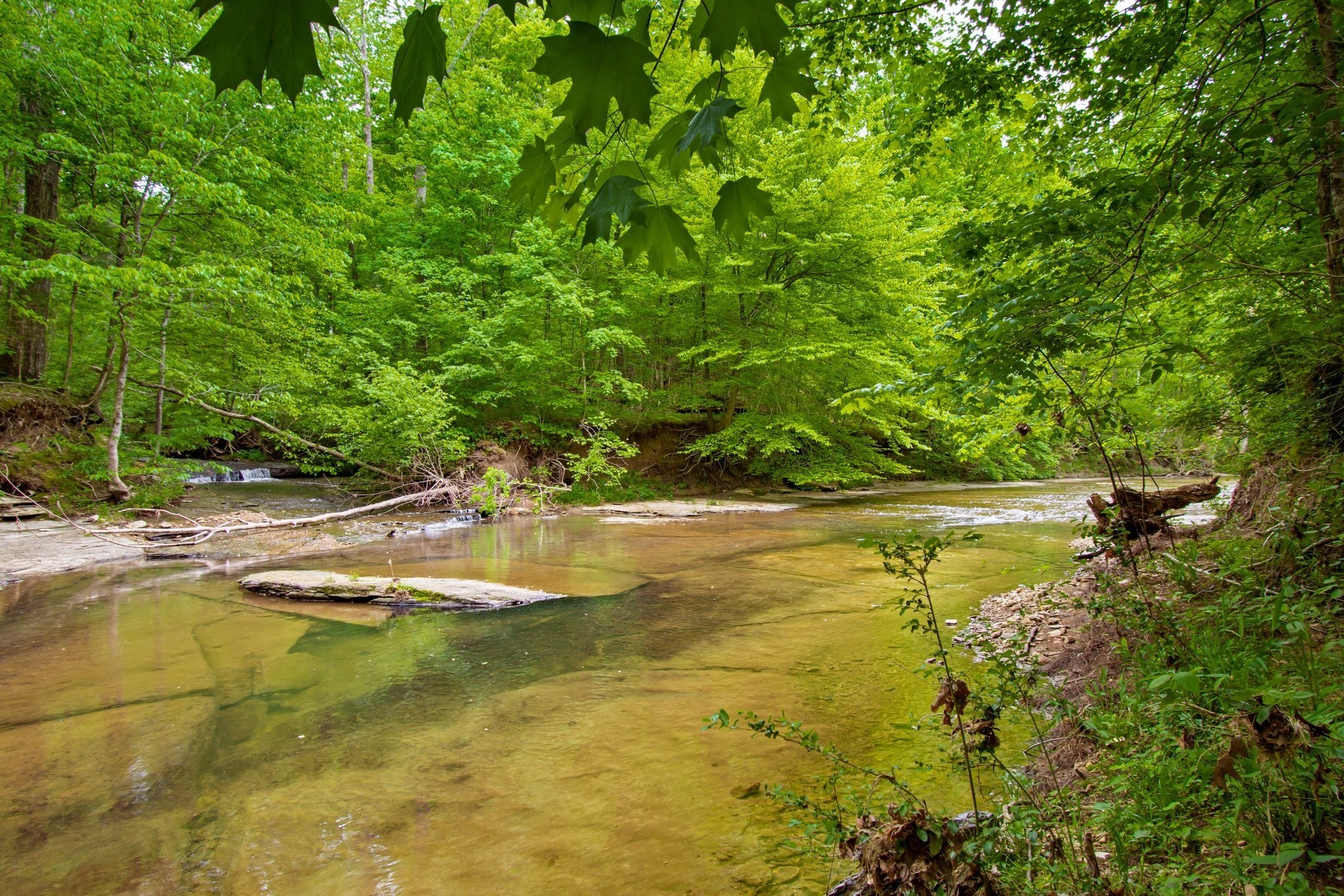 0 Crow Cut Road Fairview TN 37062