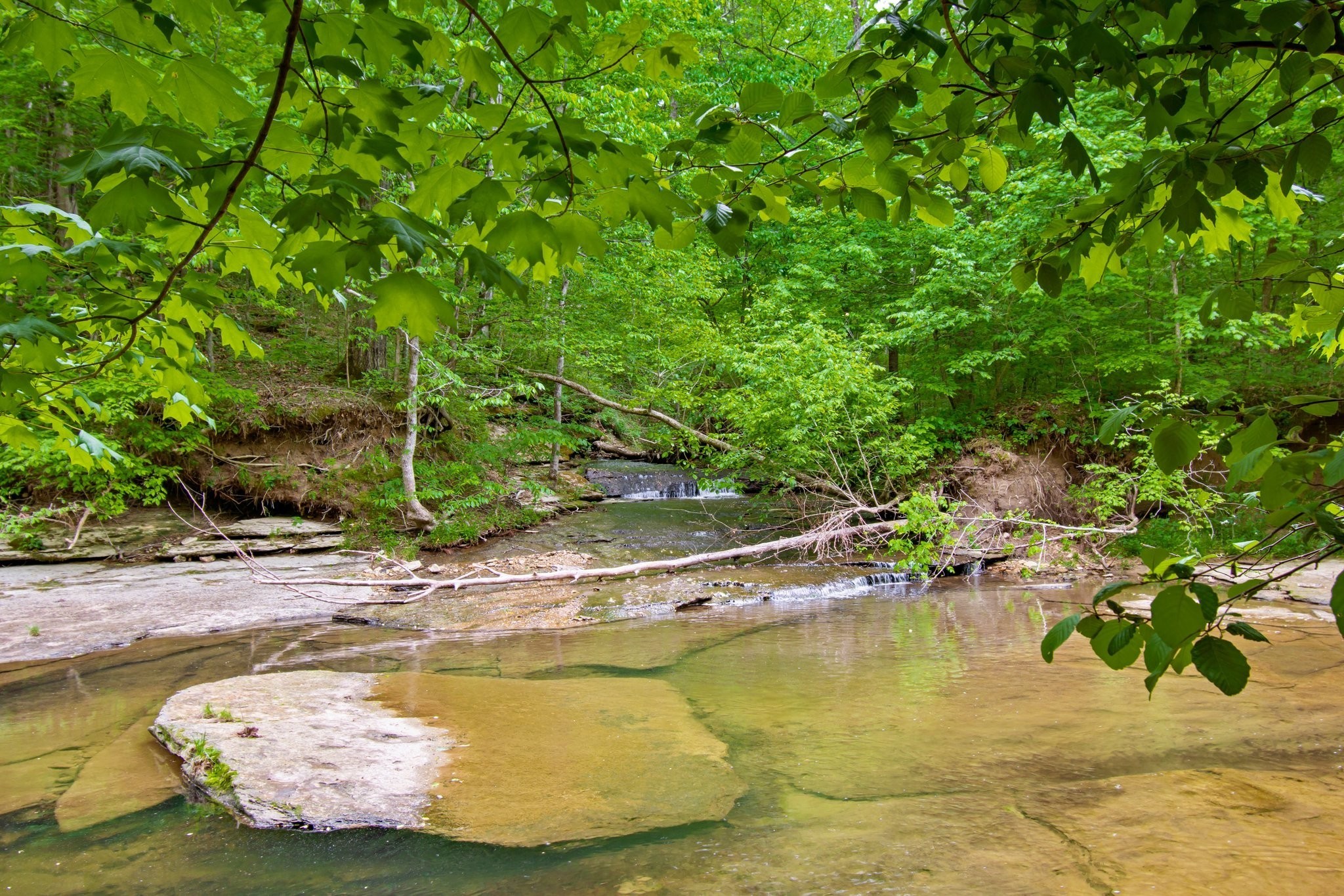 0 Crow Cut Road Fairview TN 37062