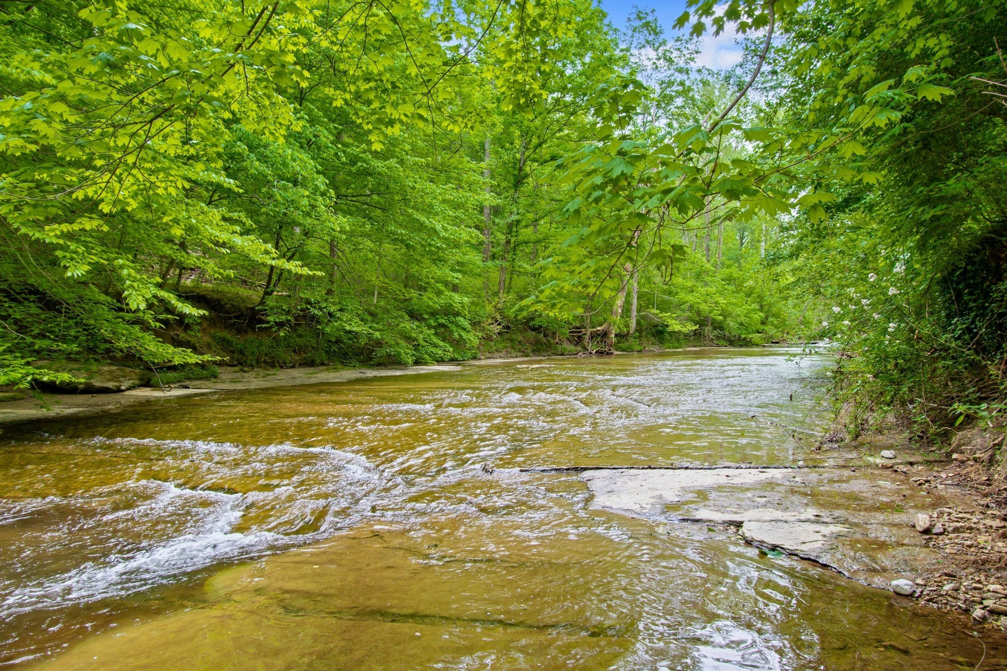 0 Crow Cut Road Fairview TN 37062
