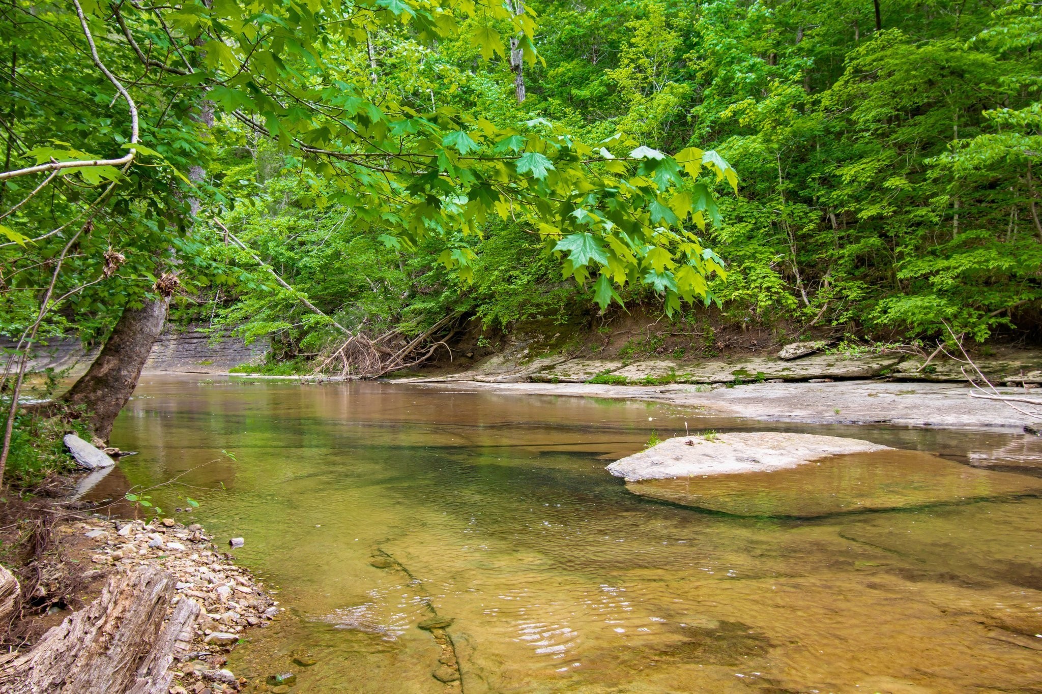 0 Crow Cut Road Fairview TN 37062