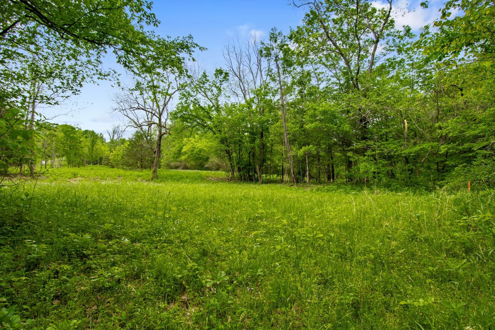 0 Crow Cut Road Fairview TN 37062