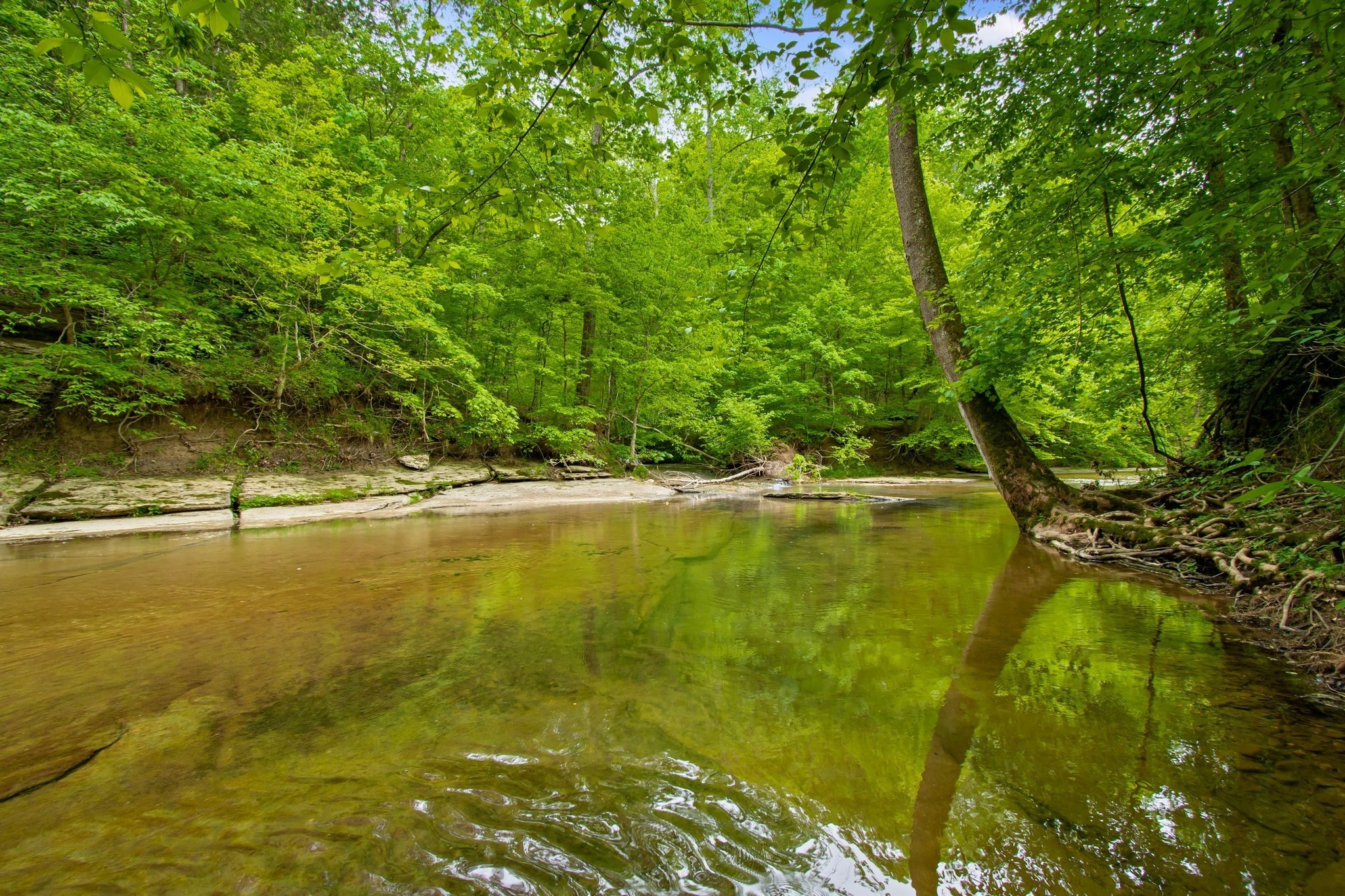 0 Crow Cut Road Fairview TN 37062