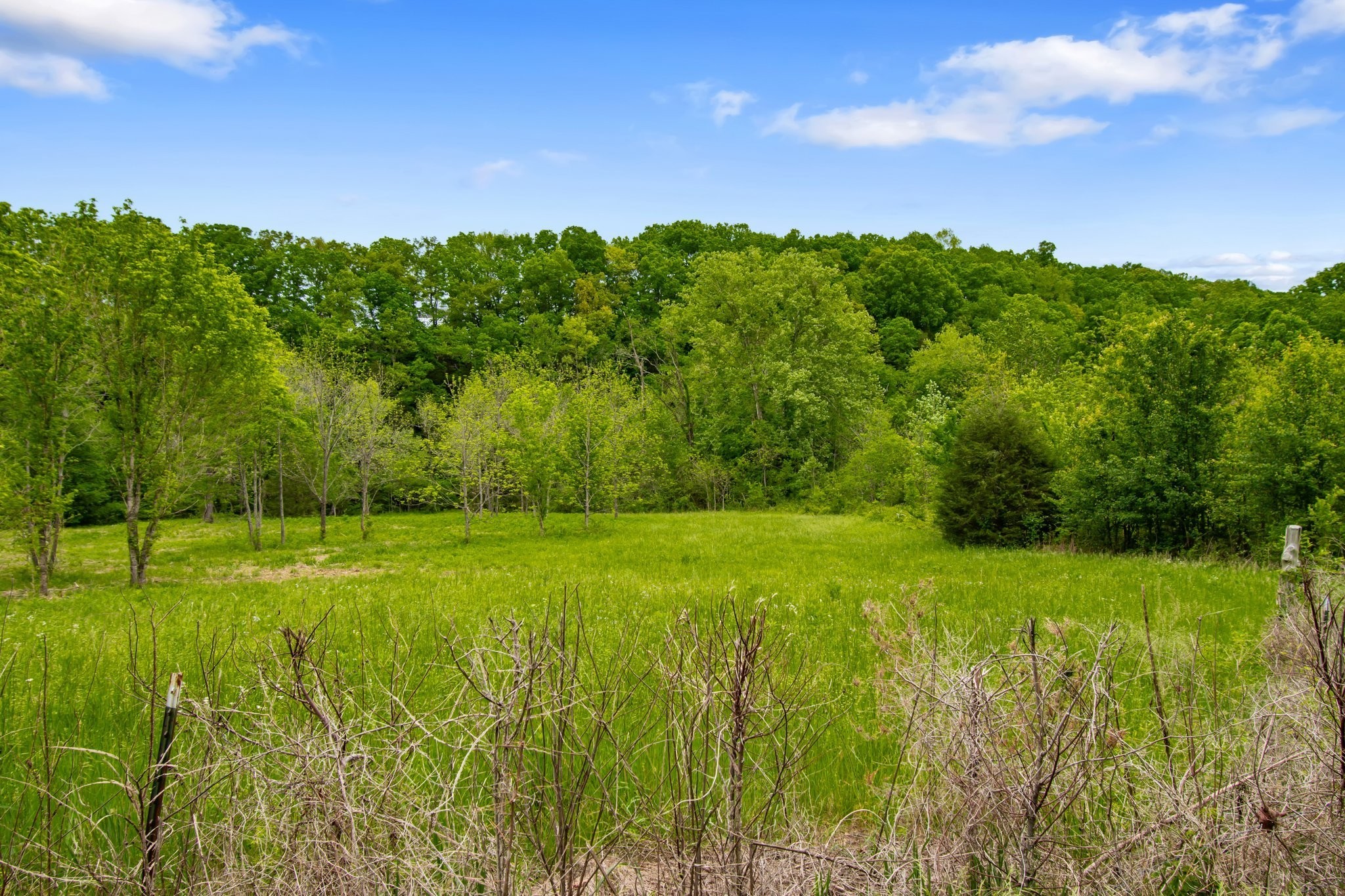 0 Crow Cut Road Fairview TN 37062